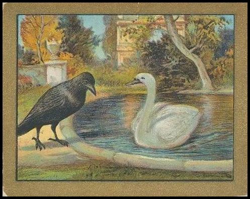 T57 39 The Raven And The Swan.jpg